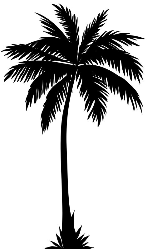 palm tree vector images|palm tree background clip art.